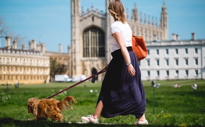 Städtetrip mit Hund - Tipps für einen entspannten Städtetrip mit deinem Hund